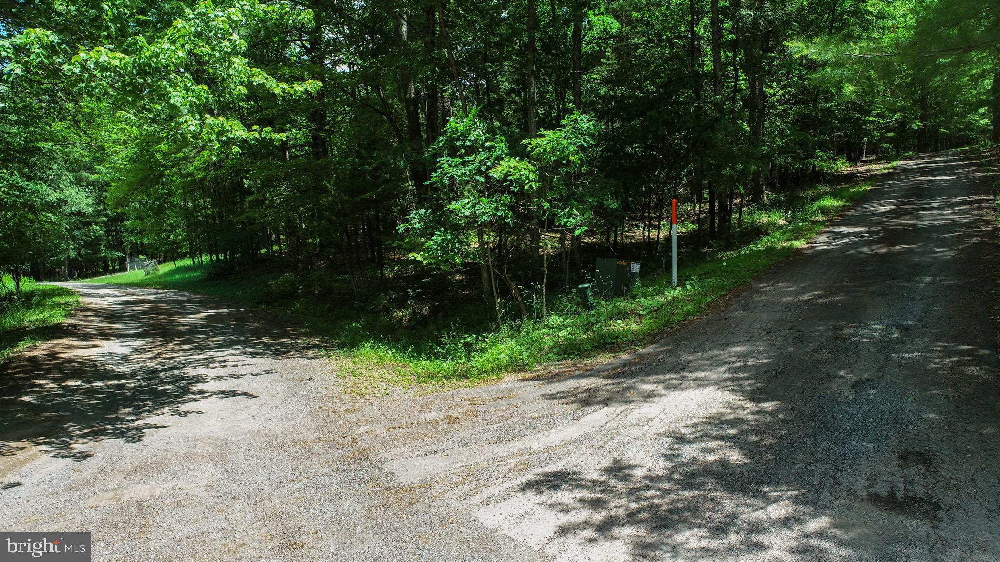 North Glade Road Swanton, MD 21561 - Photo 12 of 16