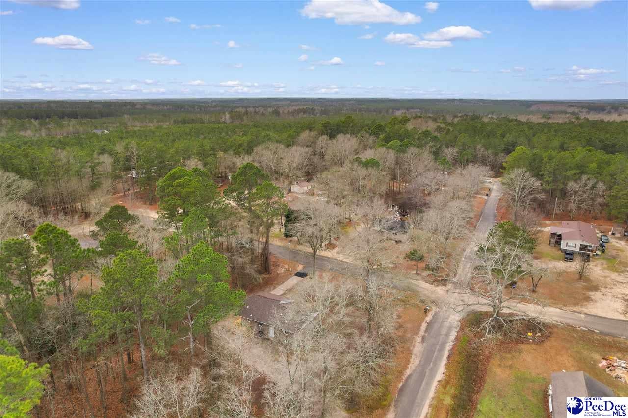 166 Pinestraw Road Bennettsville, SC 29512 - Photo 39 of 43 Gallery Image 39