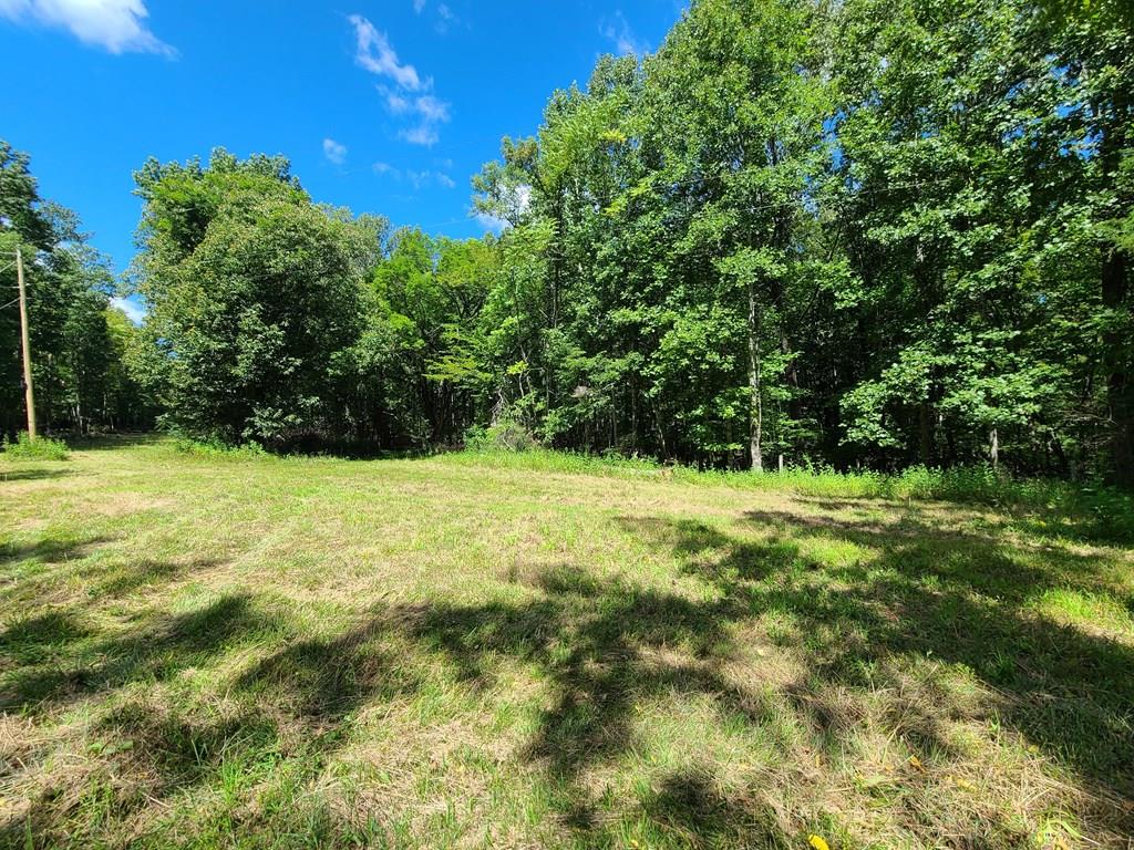 735 Mt Alto Road Esmont, VA 22937 - Photo 1 of 23 Gallery Image 1