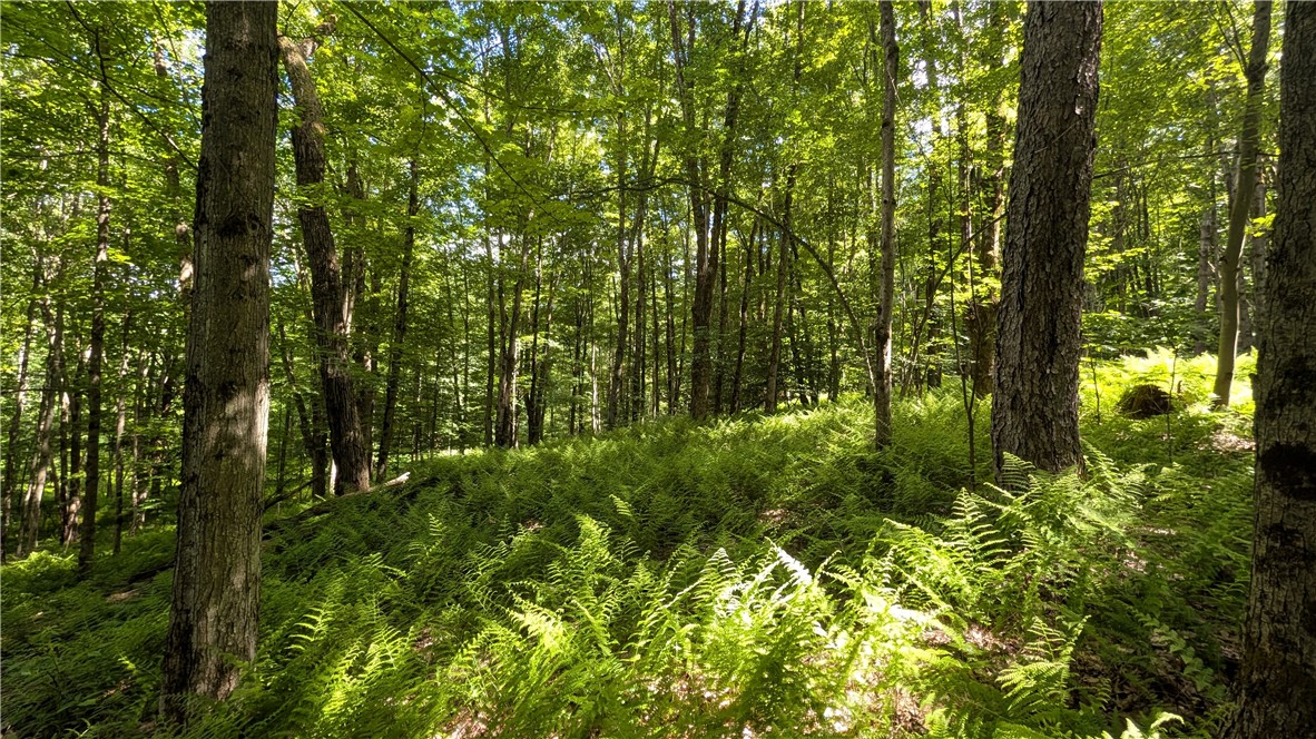 201 Sunrise Mountain Road Kortright, NY 13739 - Photo 35 of 49