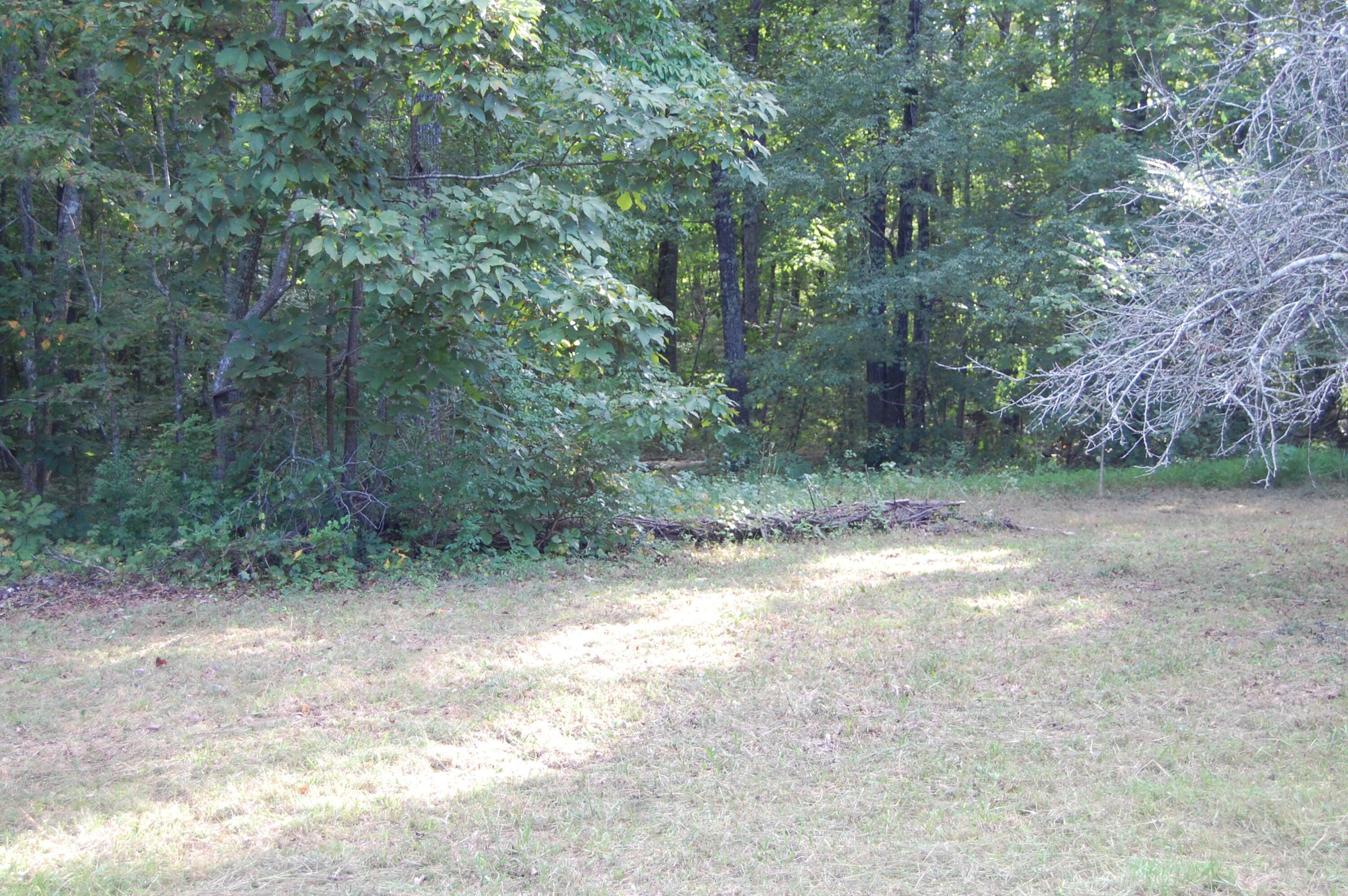 155 Howard Road, Unit 3 Decatur, TN 37322 - Photo 1 of 7 DSC_0157