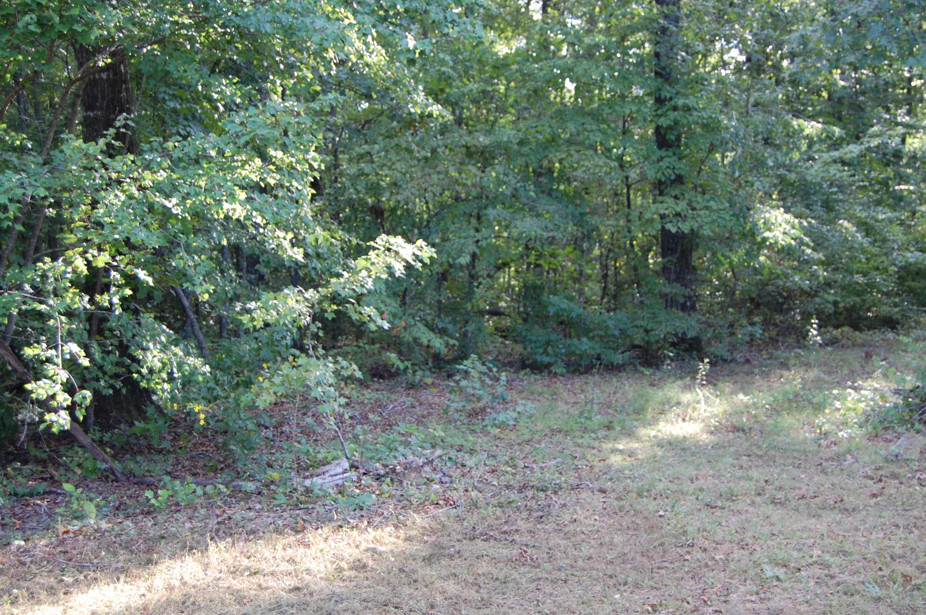 155 Howard Road, Unit 3 Decatur, TN 37322 - Photo 3 of 7 DSC_0159