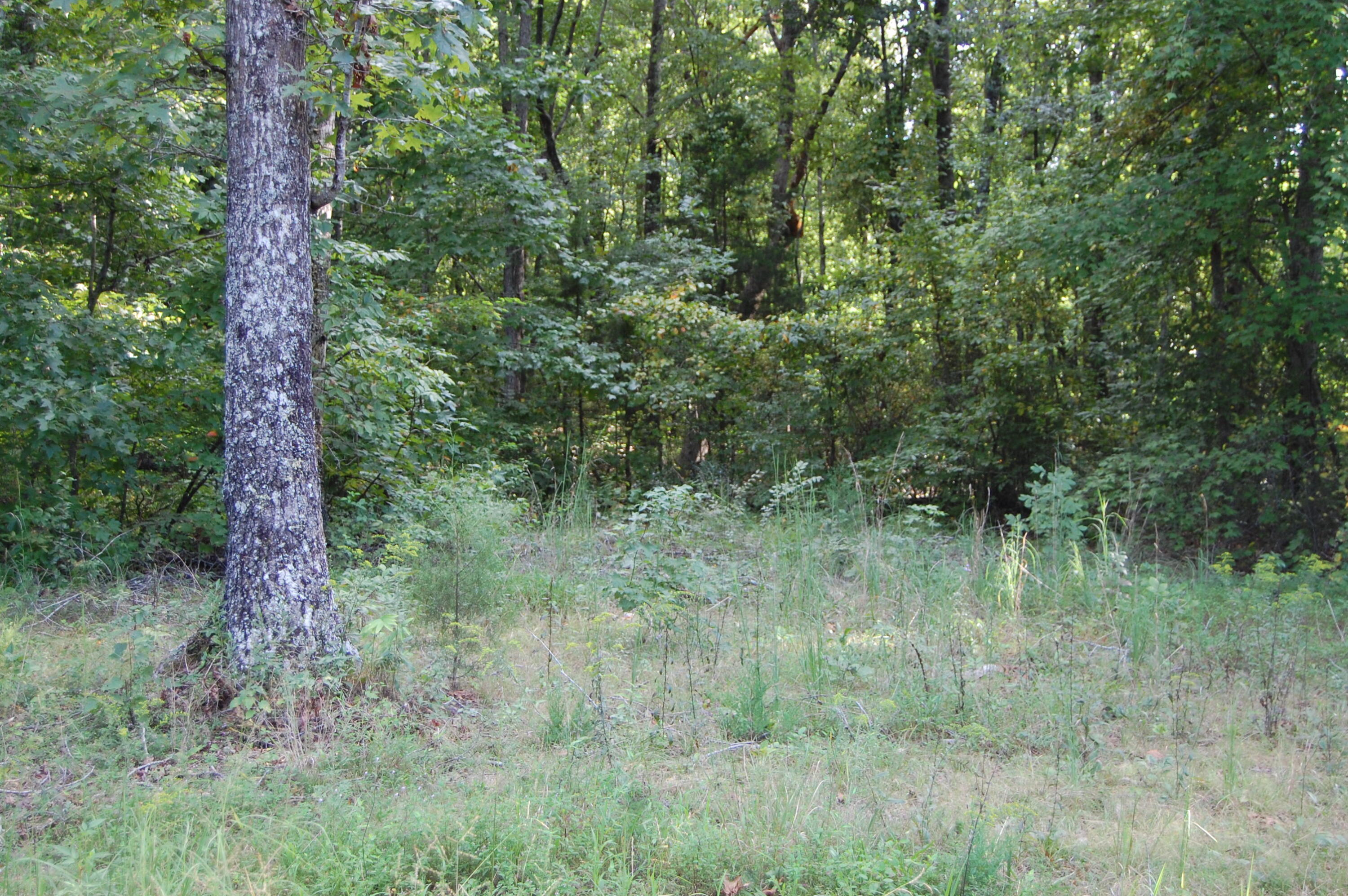 155 Howard Road, Unit 3 Decatur, TN 37322 - Photo 6 of 7 DSC_0160