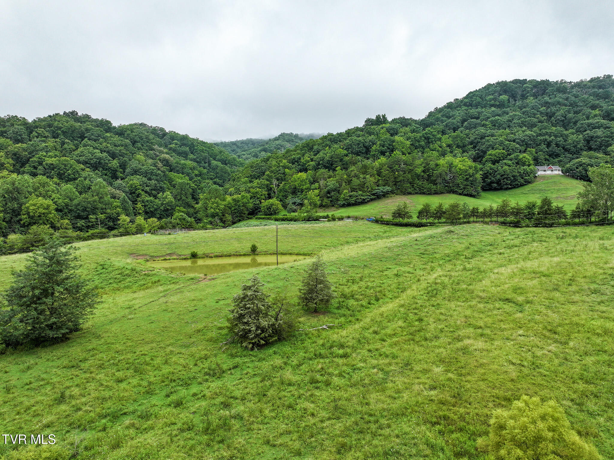 19-ac Fodderstack Mountain Loop Greeneville, TN 37745 - Photo 9 of 19 9