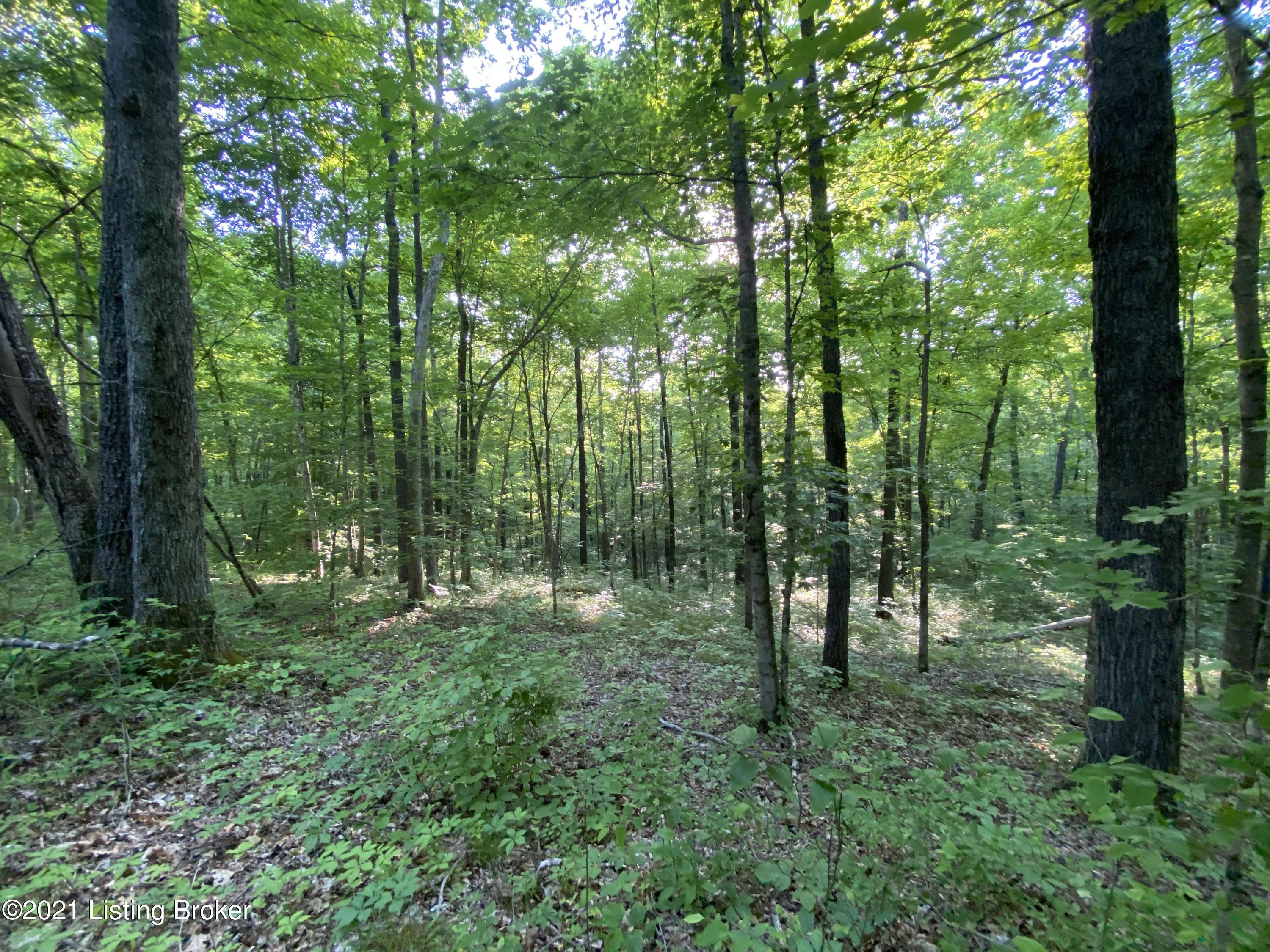 201 A Fox Run Road Caneyville, KY 42721 - Photo 11 of 14 Tract A(4)