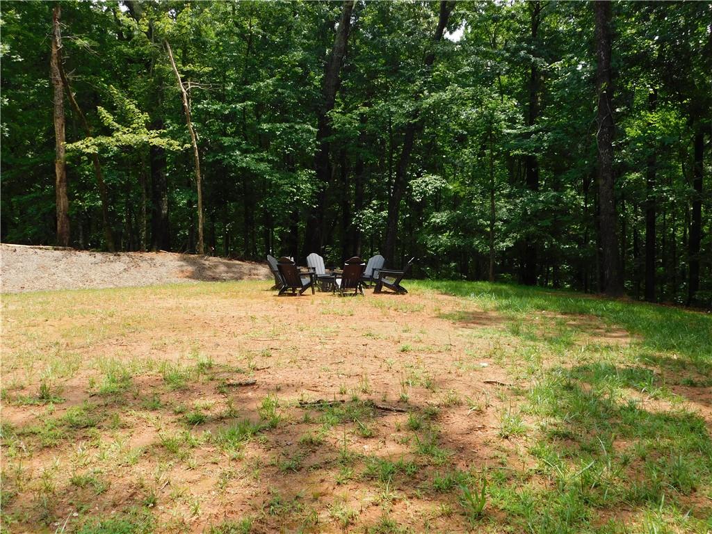 320 Harmony Drive Road Dahlonega, GA 30533 - Photo 6 of 36
