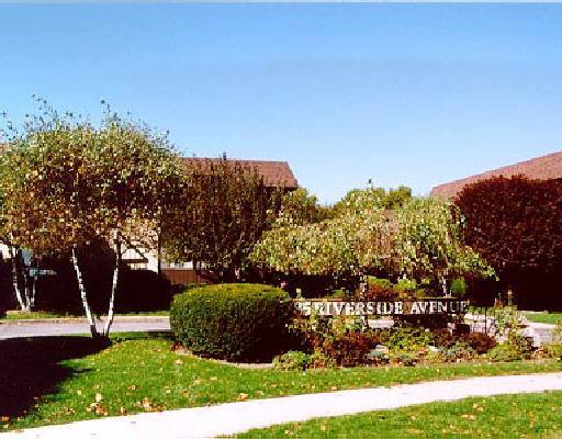 85 Riverside Avenue, Unit G5 Stamford, CT 06905 - Photo 1 of 1 a view of a yard