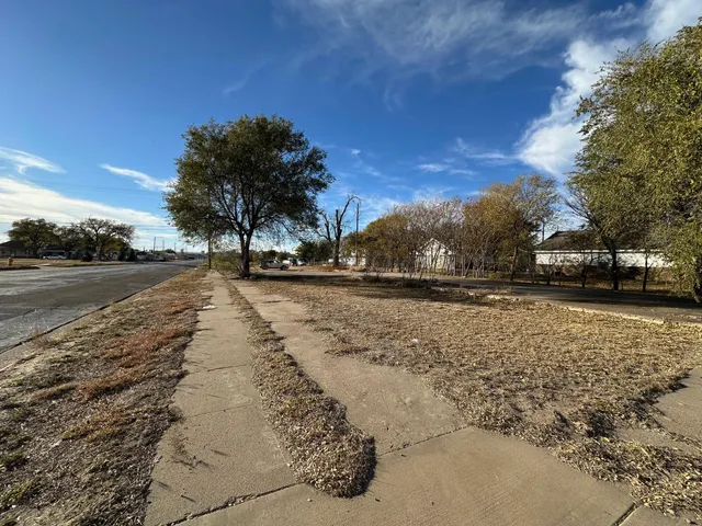 a view of dirt yard with a large tree