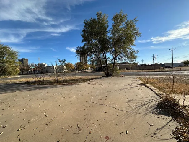 a view of a yard with a tree