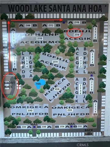 a bunch of fruits and vegetables