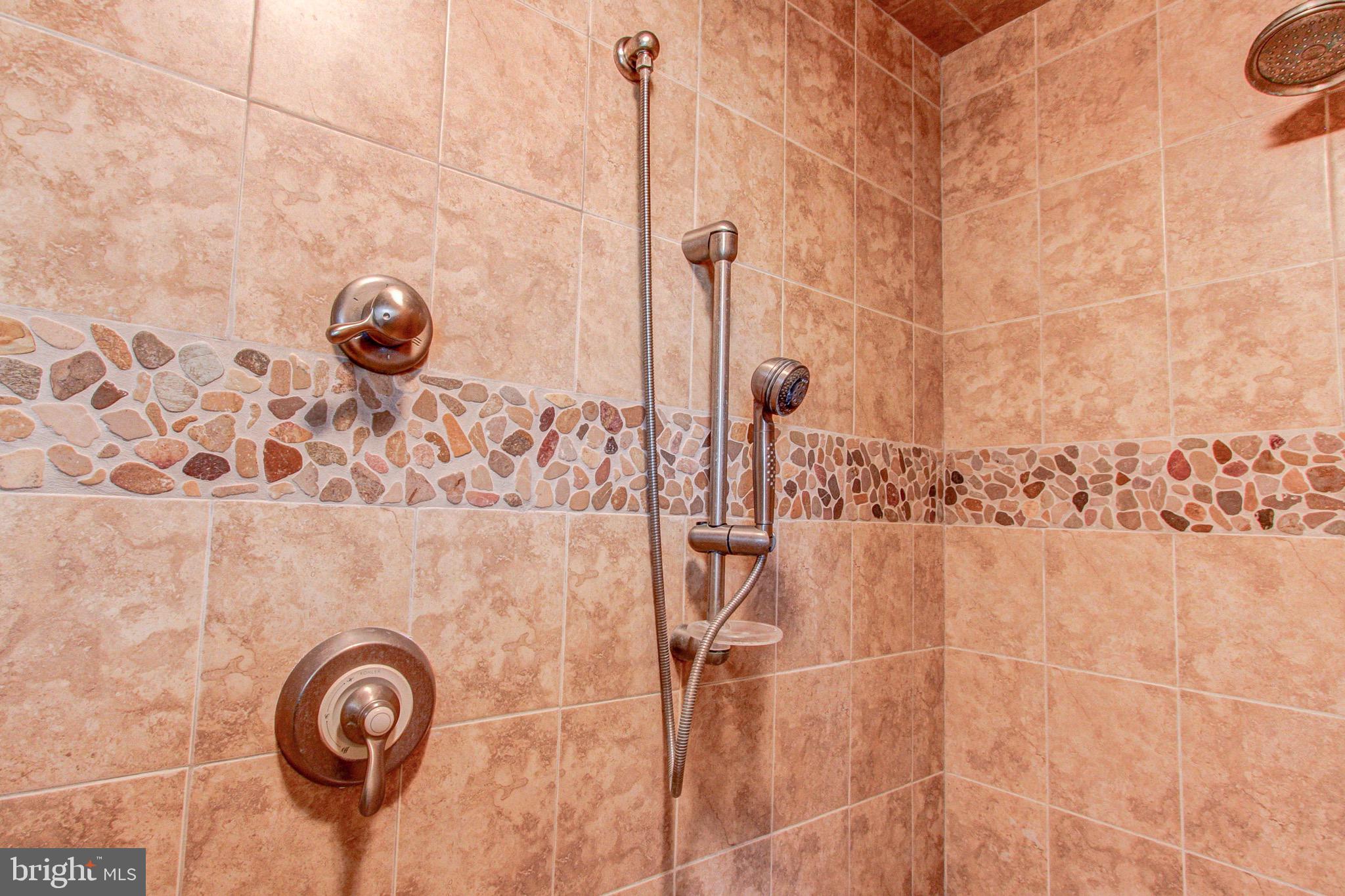 2613 Hill Road Green Lane, PA 18054 - Photo 116 of 146 Spectacular shower decorative details