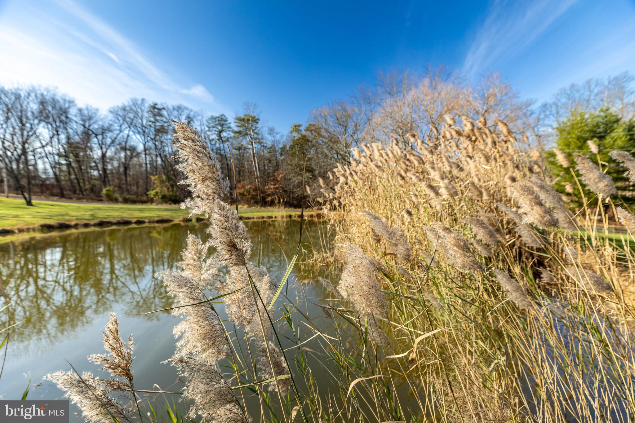 2613 Hill Road Green Lane, PA 18054 - Photo 135 of 146 View of your fabulous pond at Pine Knoll