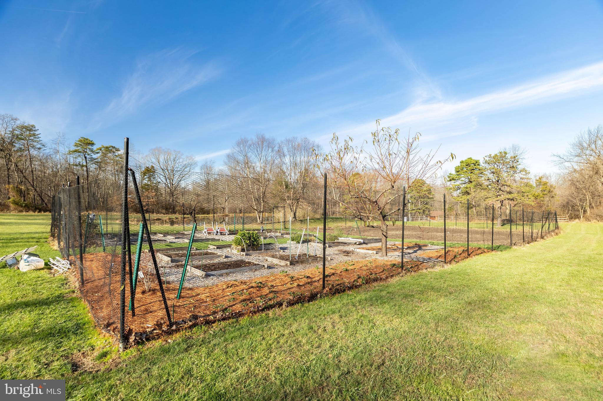 2613 Hill Road Green Lane, PA 18054 - Photo 136 of 146 Grow your own fruits and vegetables at home!