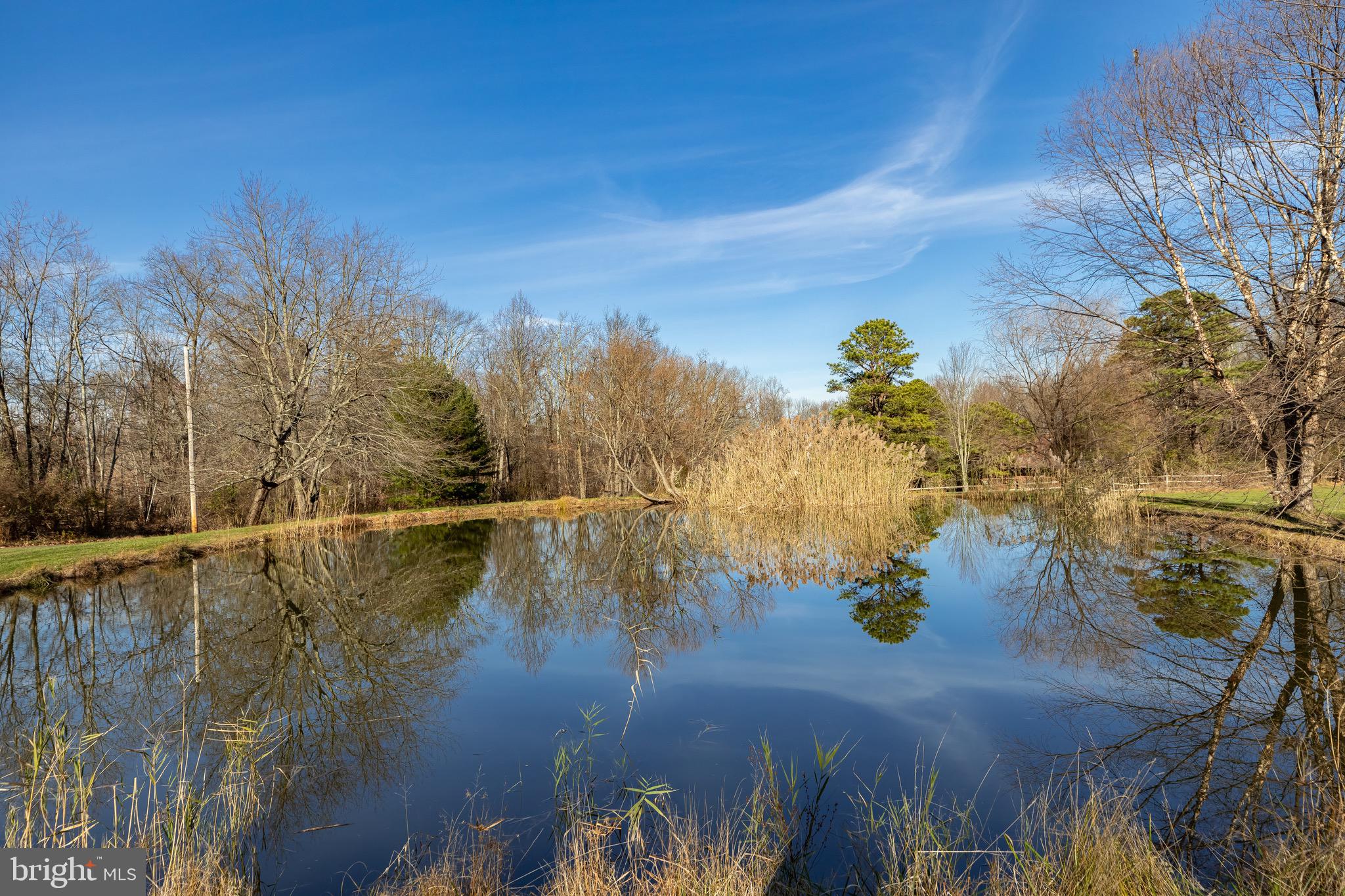 2613 Hill Road Green Lane, PA 18054 - Photo 137 of 146 Love relaxing & enjoying nature by the pond