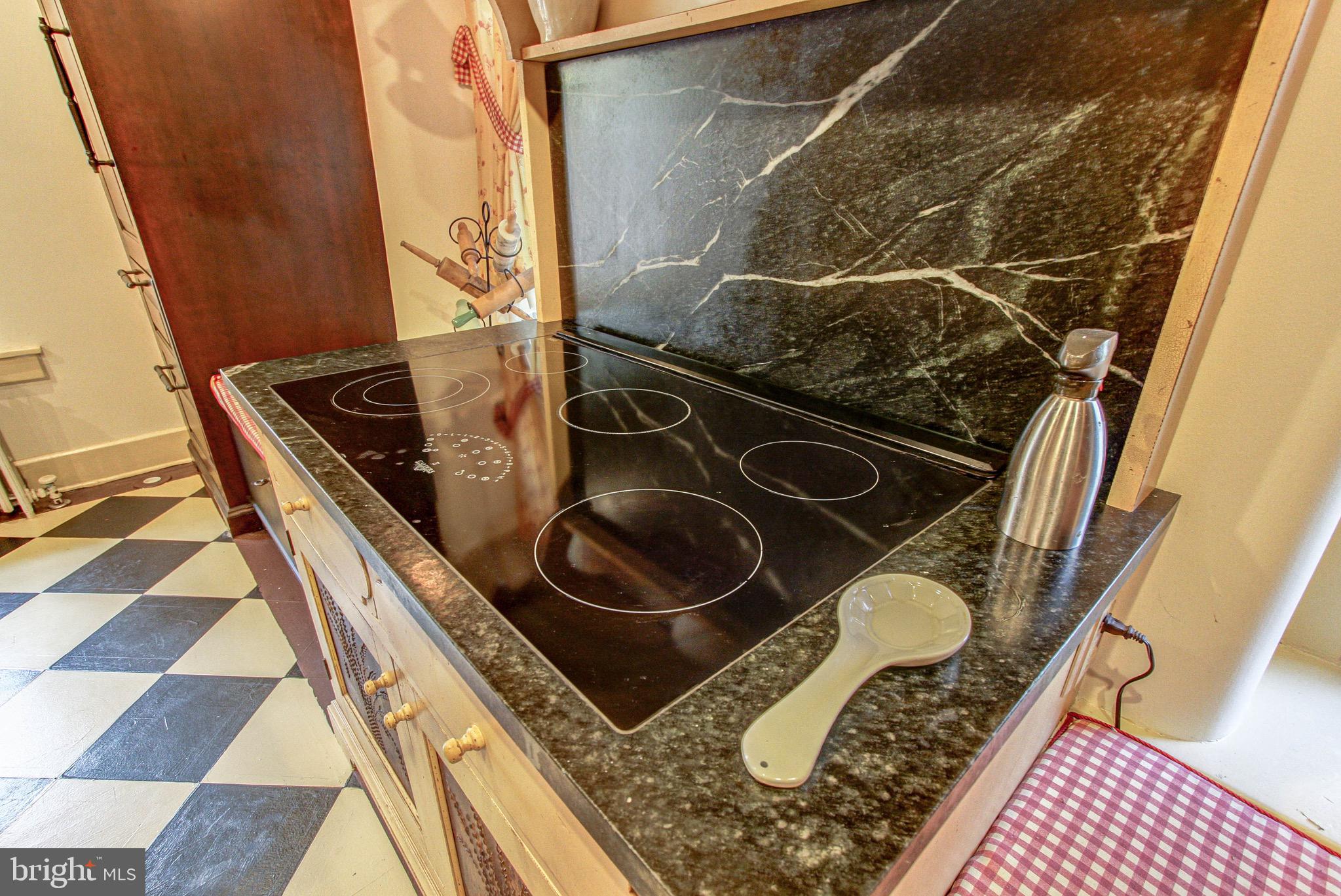 2613 Hill Road Green Lane, PA 18054 - Photo 30 of 146 Professional cooktop with downdraft system!