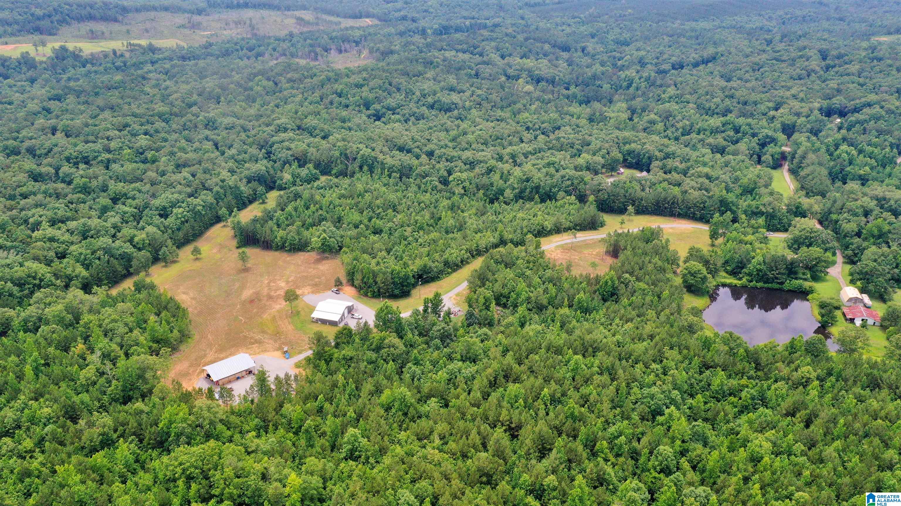 164 Gant Road Pell City, AL 35128 - Photo 28 of 31