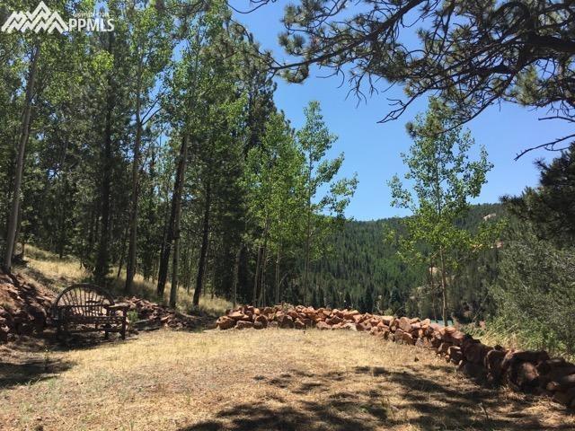 260 Beaver Pond Road Divide, CO 80814 - Photo 3 of 13 Gallery Image 3