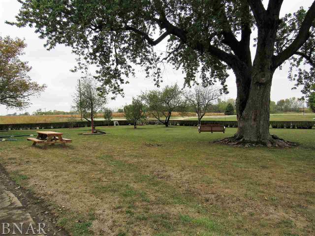 6972 Red Road Clinton, IL 61727 - Photo 7 of 17 a view of a yard with a tree