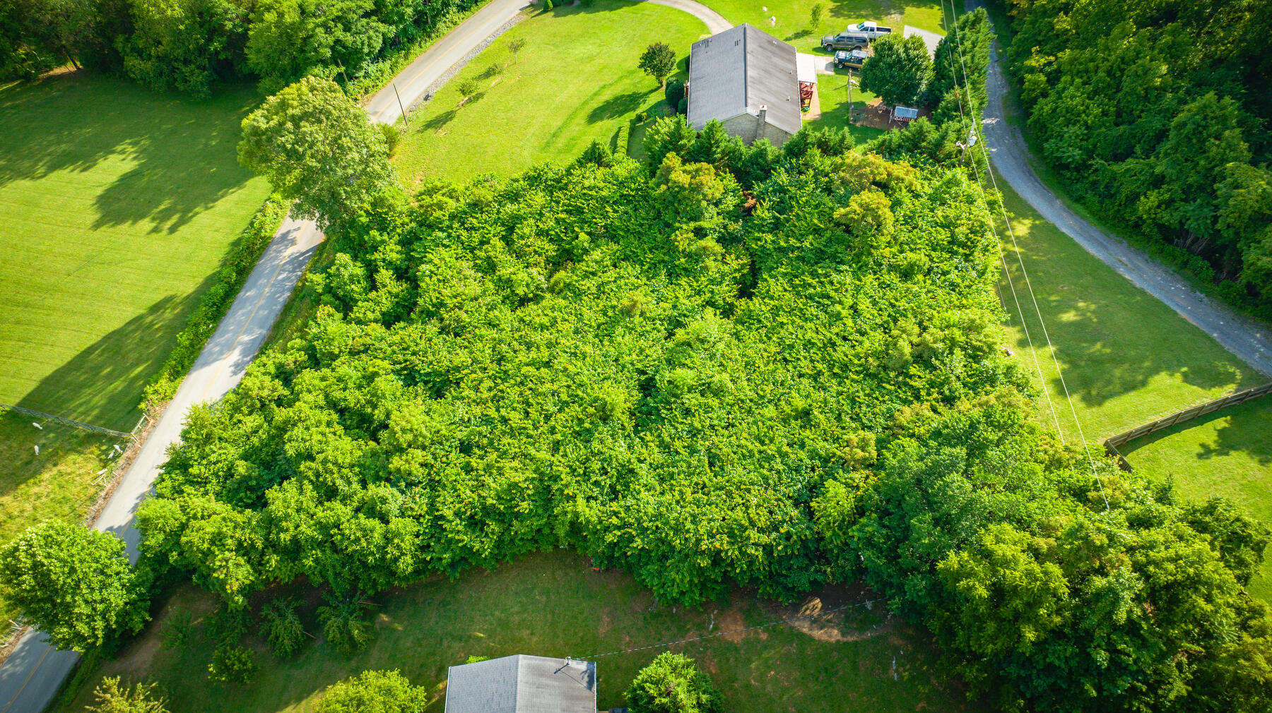 408 Cedar Branch Road, Unit 2 Kingsport, TN 37664 - Photo 7 of 9 107