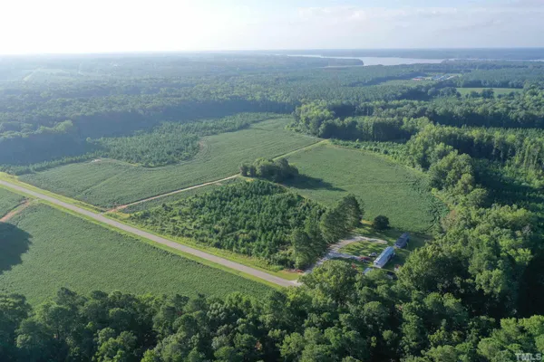 an aerial view of green landscape with trees