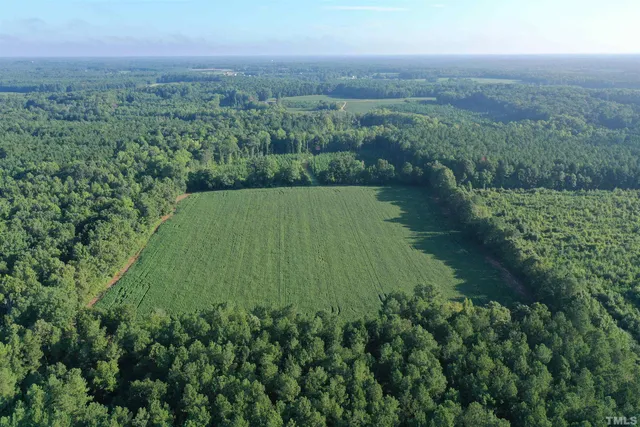 a view of a green field with lots of bushes