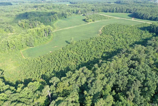 a view of a green field with lots of bushes