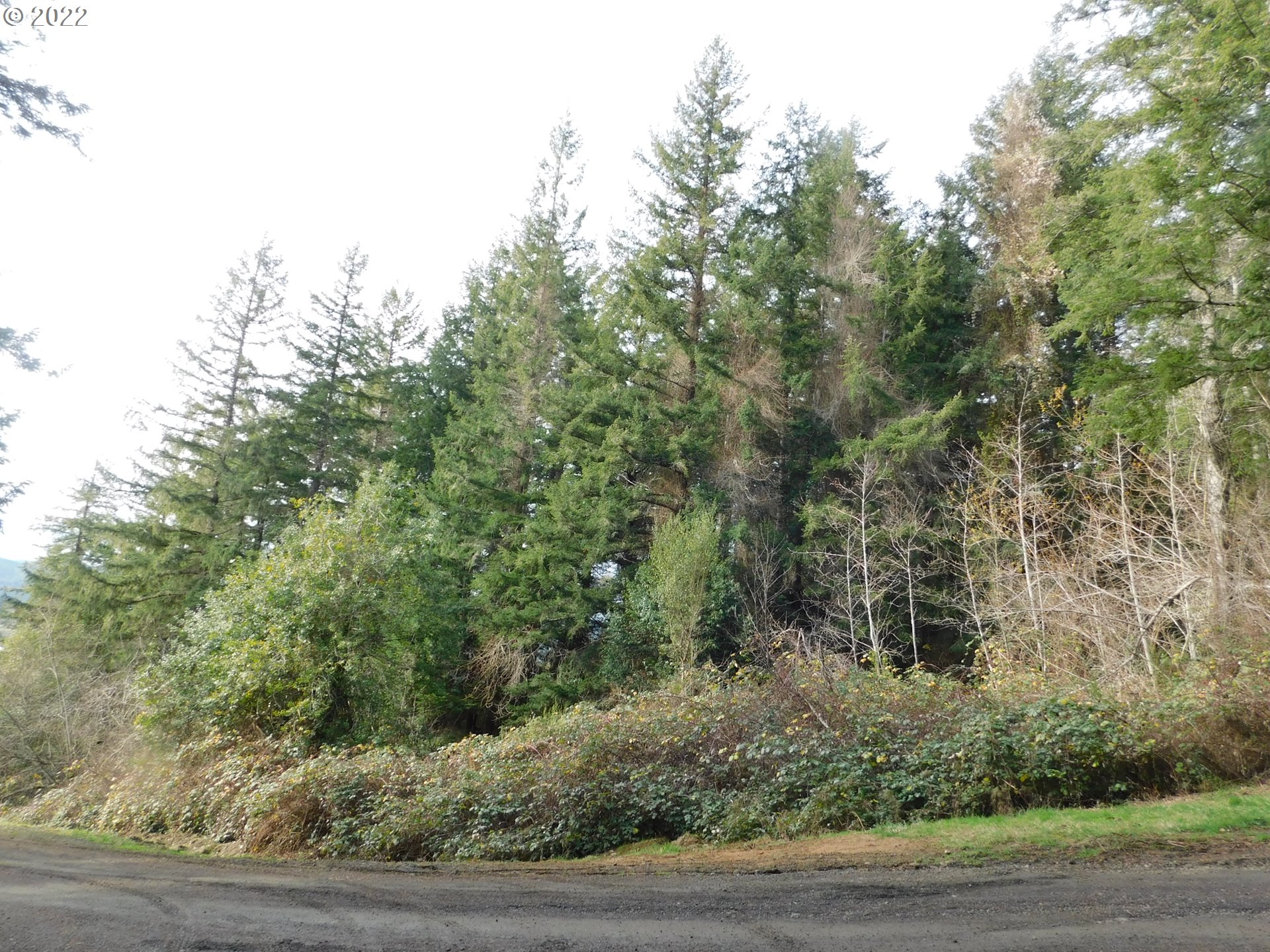 2331 Spruce Street Myrtle Point, OR 97458 - Photo 15 of 26 Gallery Image 15