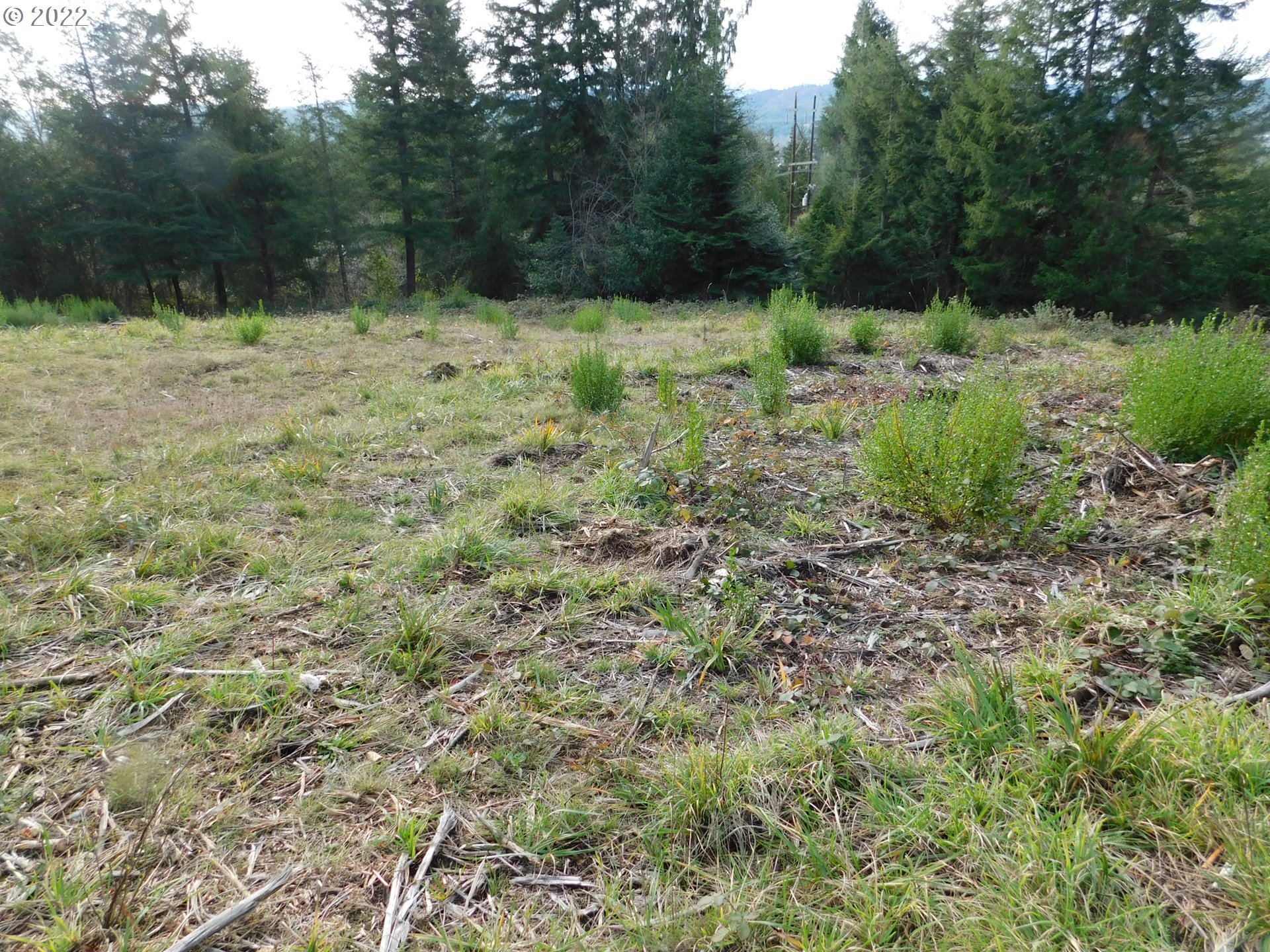 2331 Spruce Street Myrtle Point, OR 97458 - Photo 19 of 26 Gallery Image 19
