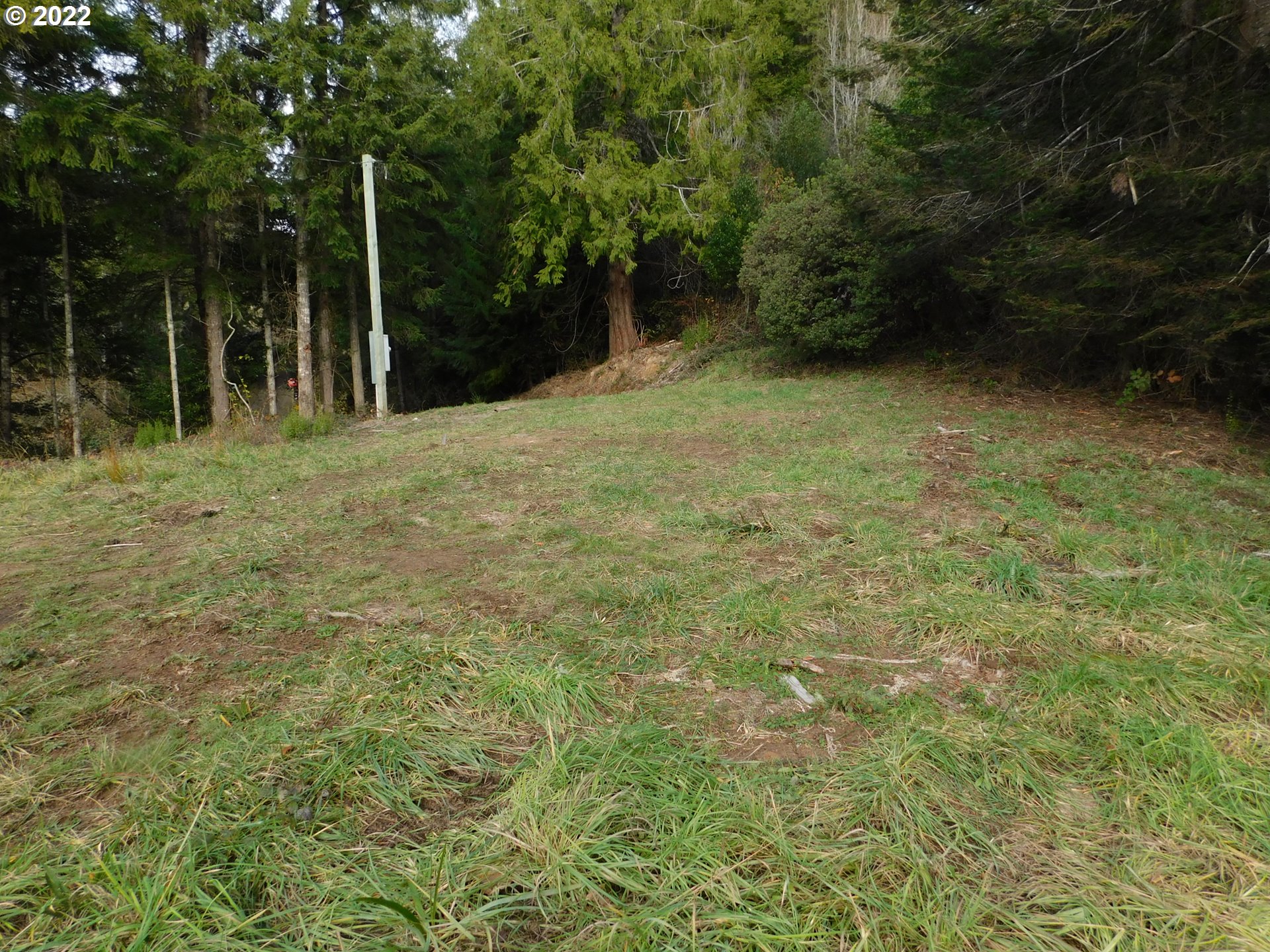 2331 Spruce Street Myrtle Point, OR 97458 - Photo 21 of 26 Gallery Image 21