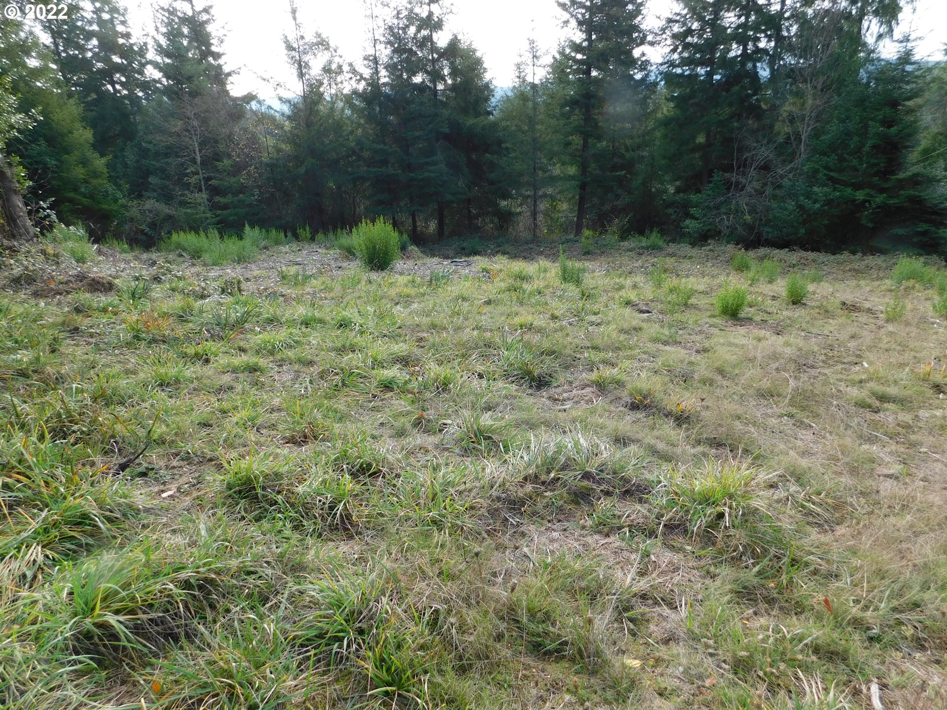 2331 Spruce Street Myrtle Point, OR 97458 - Photo 22 of 26 Gallery Image 22