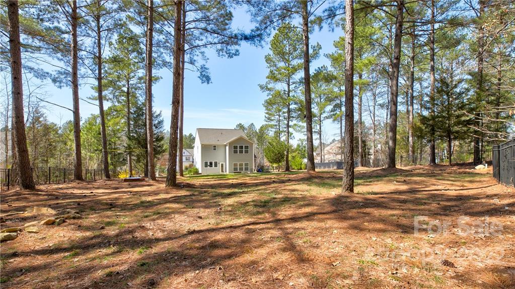 6006 Hawk View Road Waxhaw, NC 28173 - Photo 29 of 30 Gallery Image 29