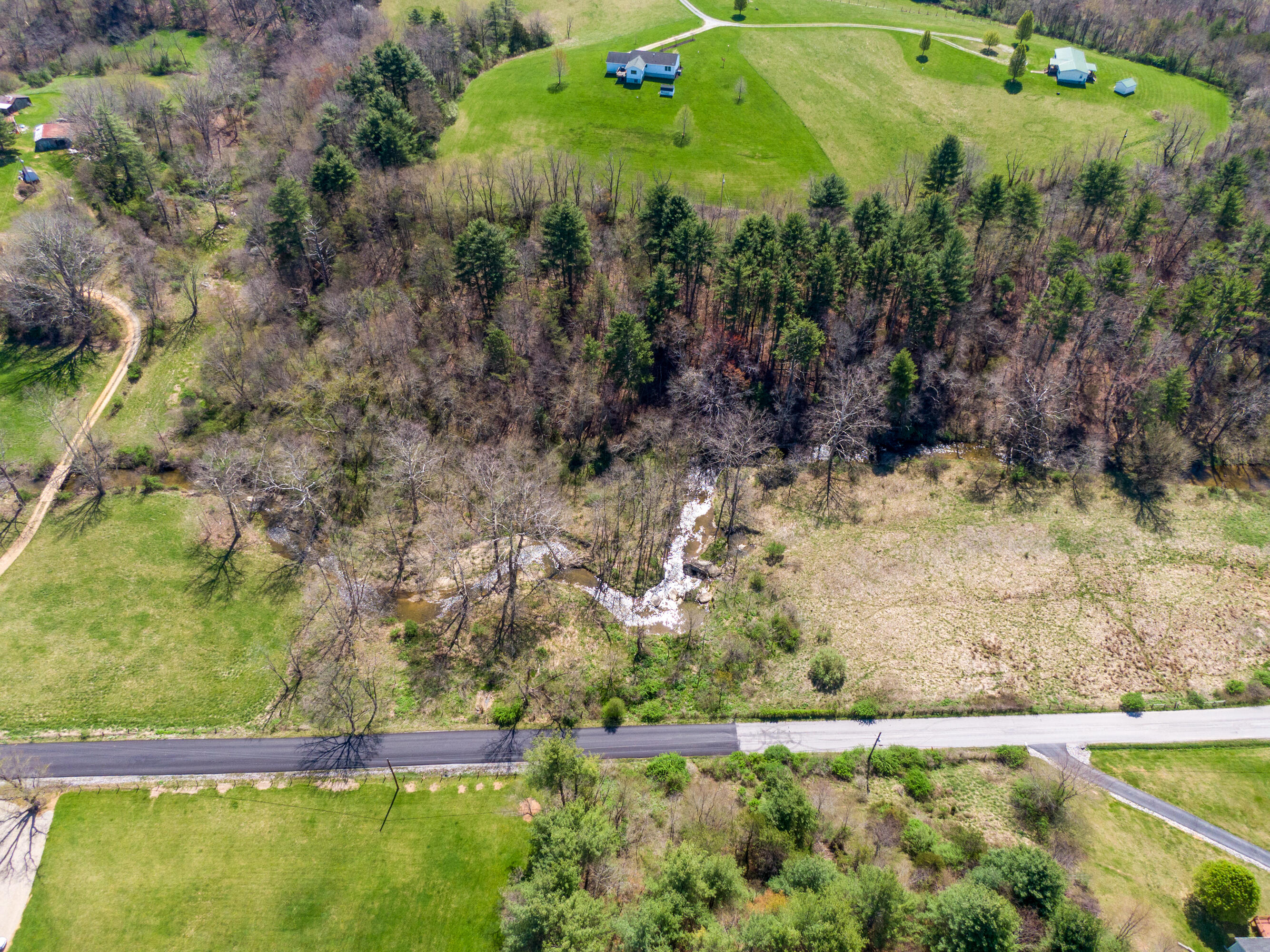 4610 Brush Creek Road Riner, VA 24149 - Photo 2 of 24 a view of a yard with plants