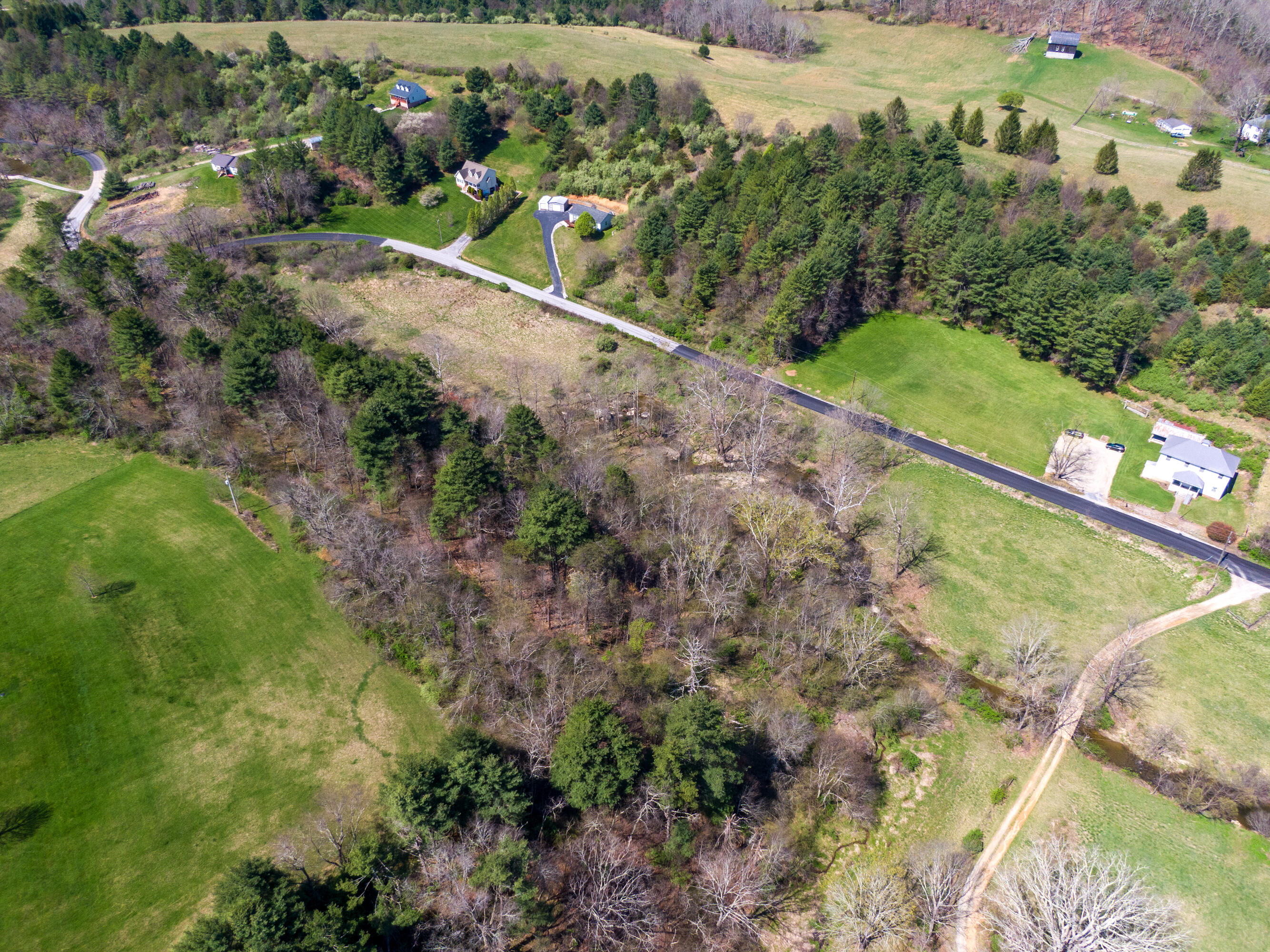 4610 Brush Creek Road Riner, VA 24149 - Photo 24 of 24 a view of a garden with a street view