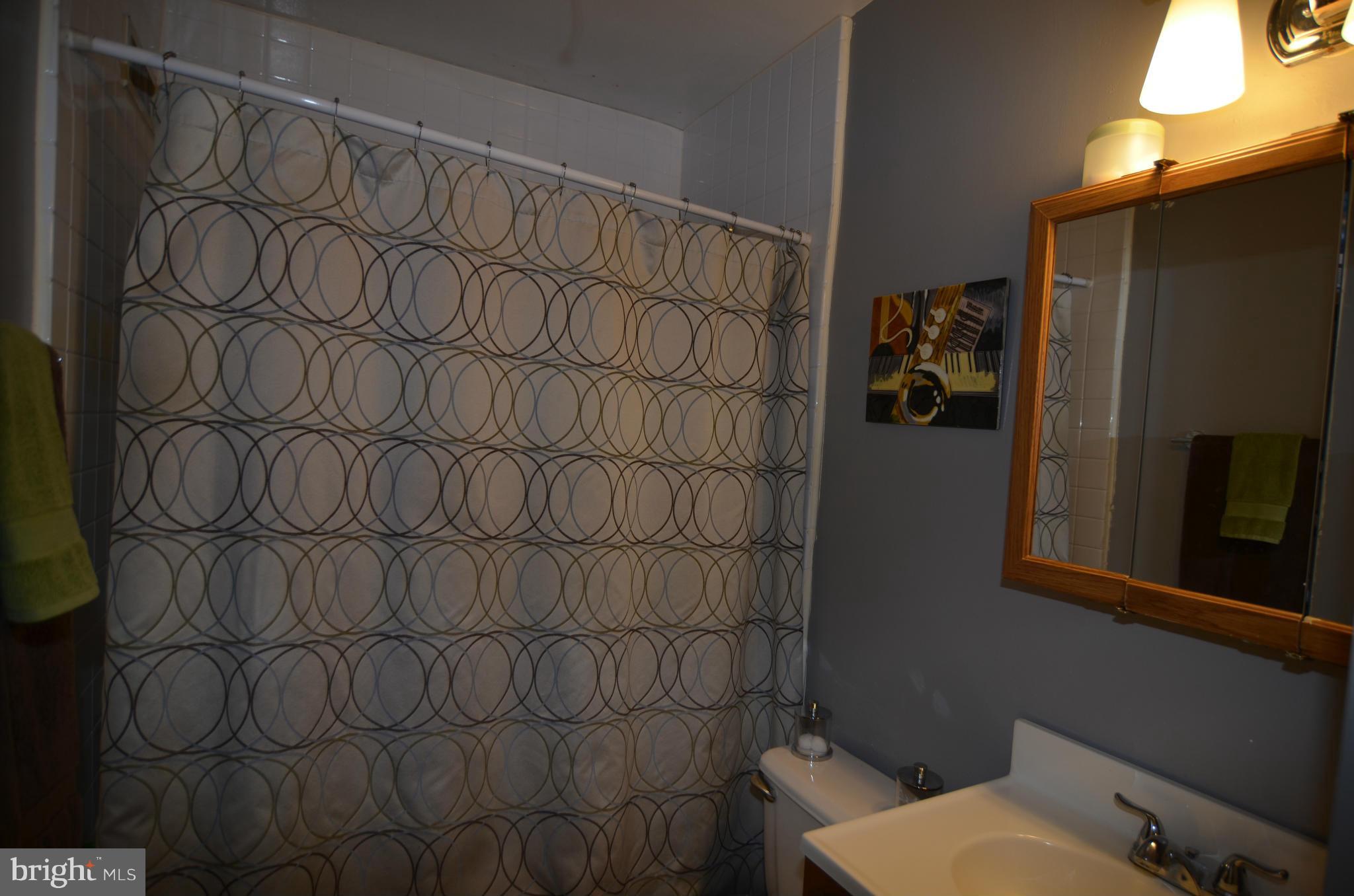 3494 Dunhaven Road Baltimore, MD 21222 - Photo 12 of 20 Bath