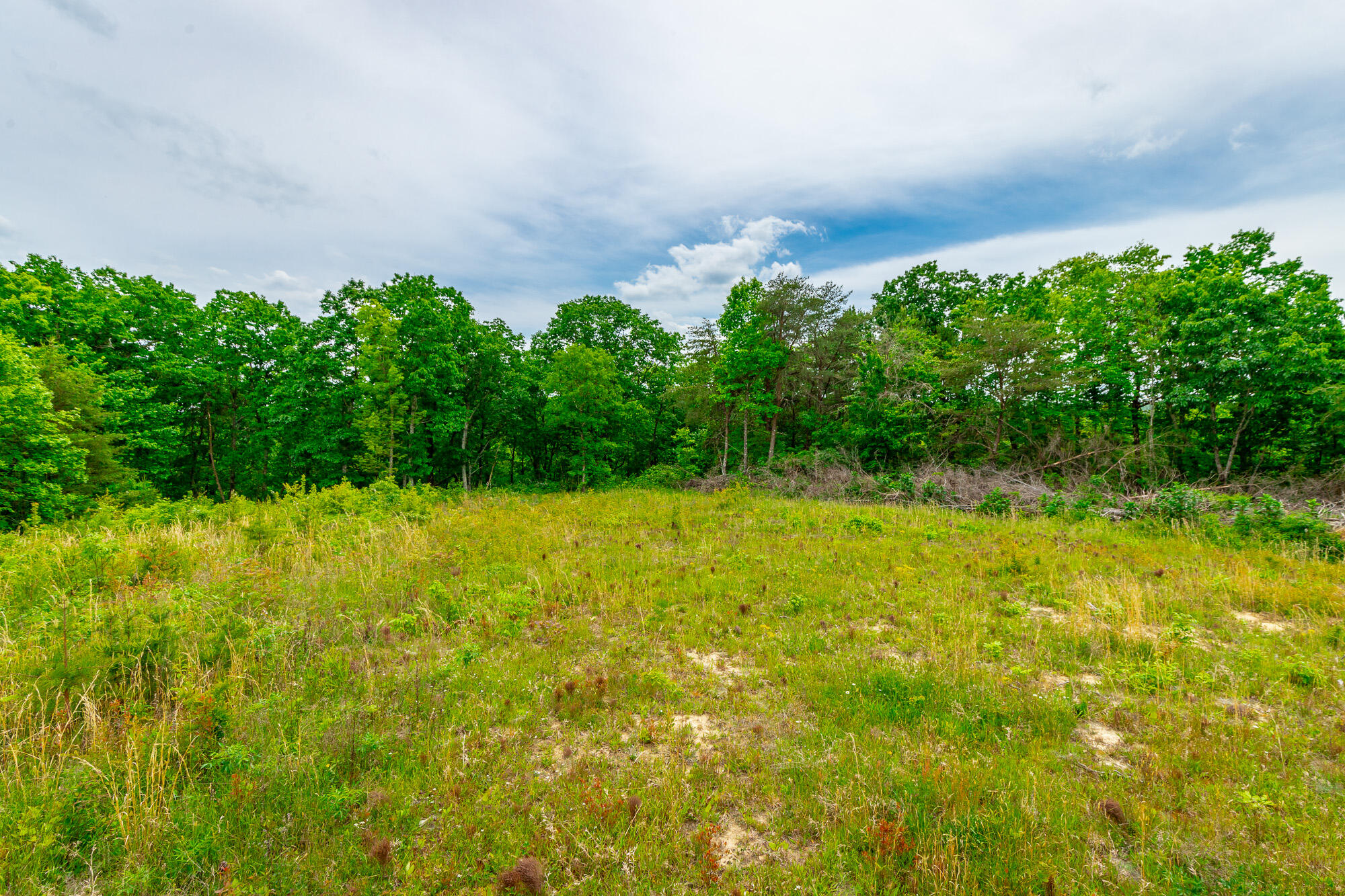 0 Ray Gadd Road Graysville, TN 37338 - Photo 84 of 109 Ray Gadd Road Lot HD-29