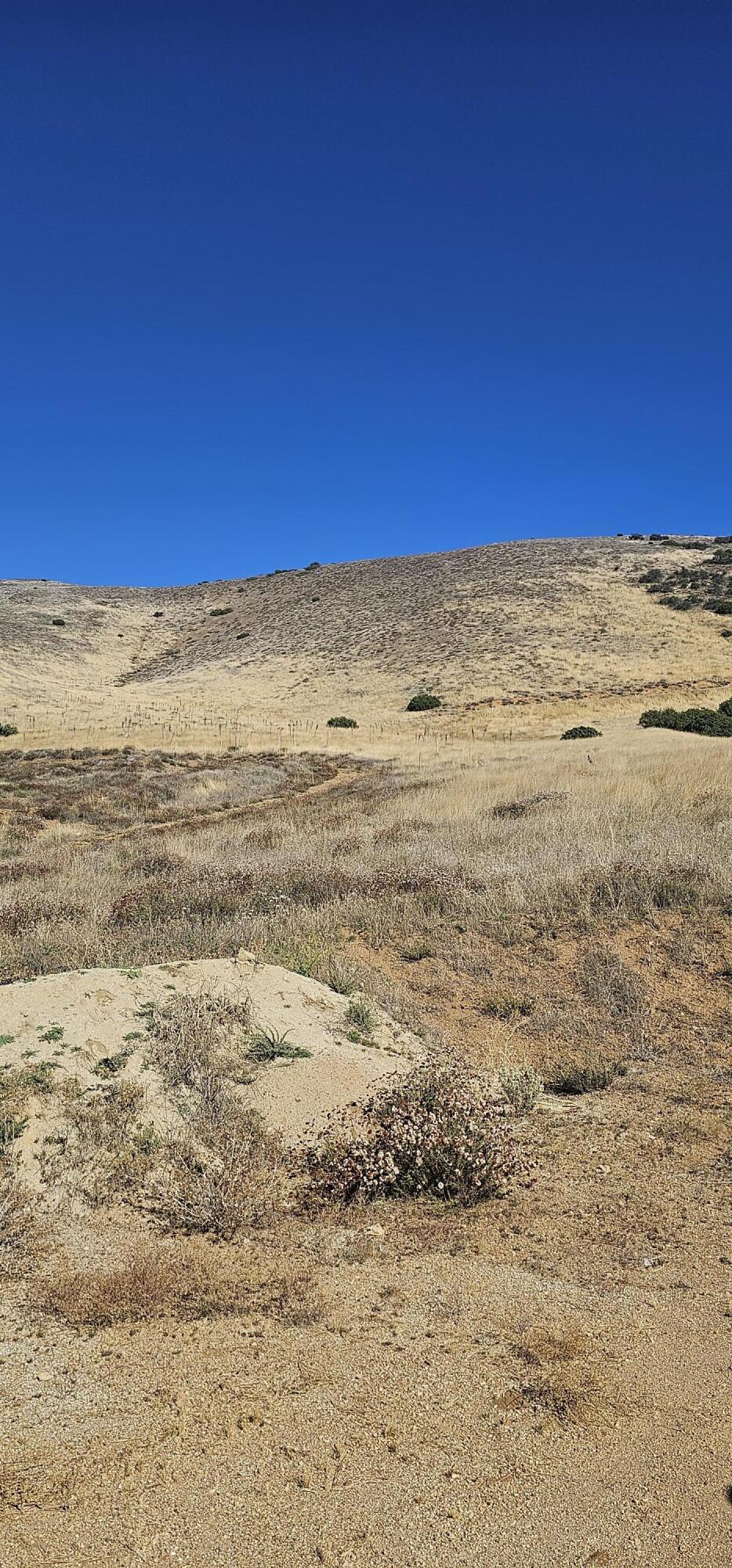 31st Street West Acton, CA 93510 - Photo 1 of 6 20231016_151428