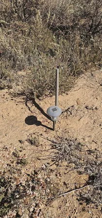 a view of a dry yard with wooden fence
