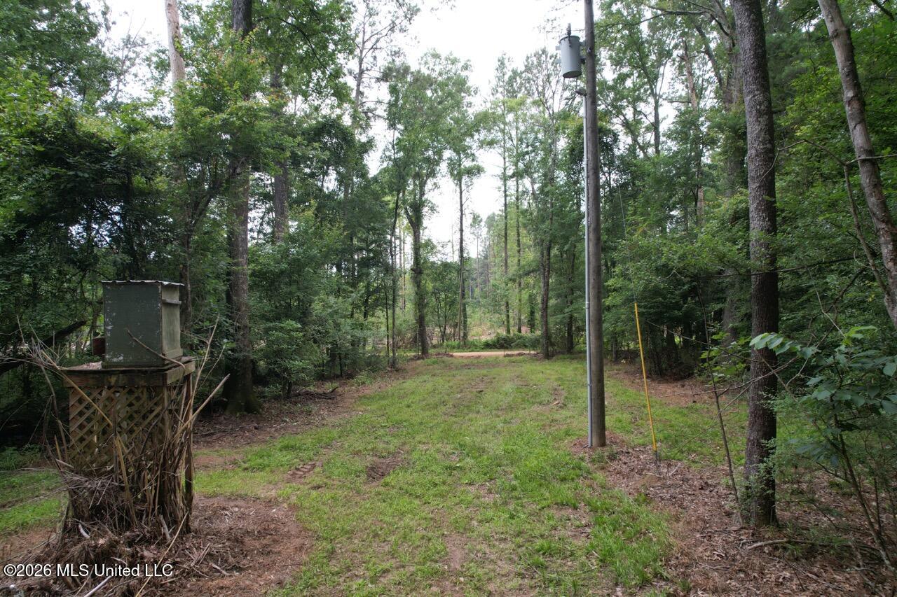 6642 Grange Hall Road Osyka, MS 39657 - Photo 42 of 50 DJI_0121 Large