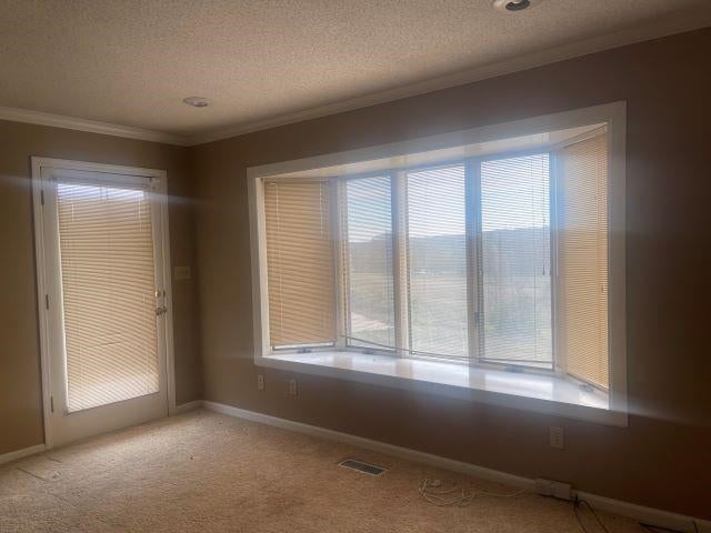 1651 Enzor Road Troy, AL 36079 - Photo 4 of 16 Gallery Image 4