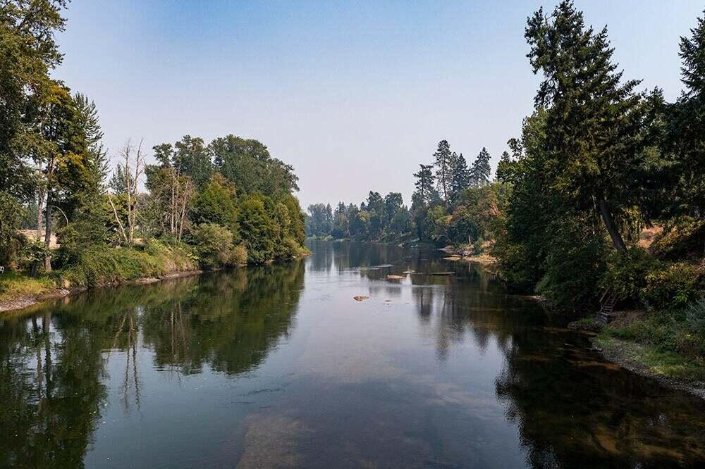 4118 Leonard Road Grants Pass, OR 97527 - Photo 37 of 37 a view of river covered by trees and buildings