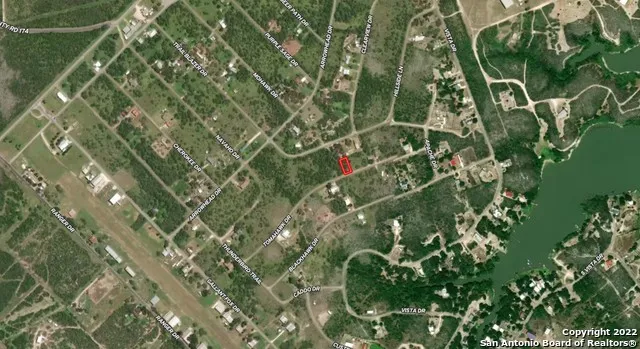 a close up of a plant in a garden