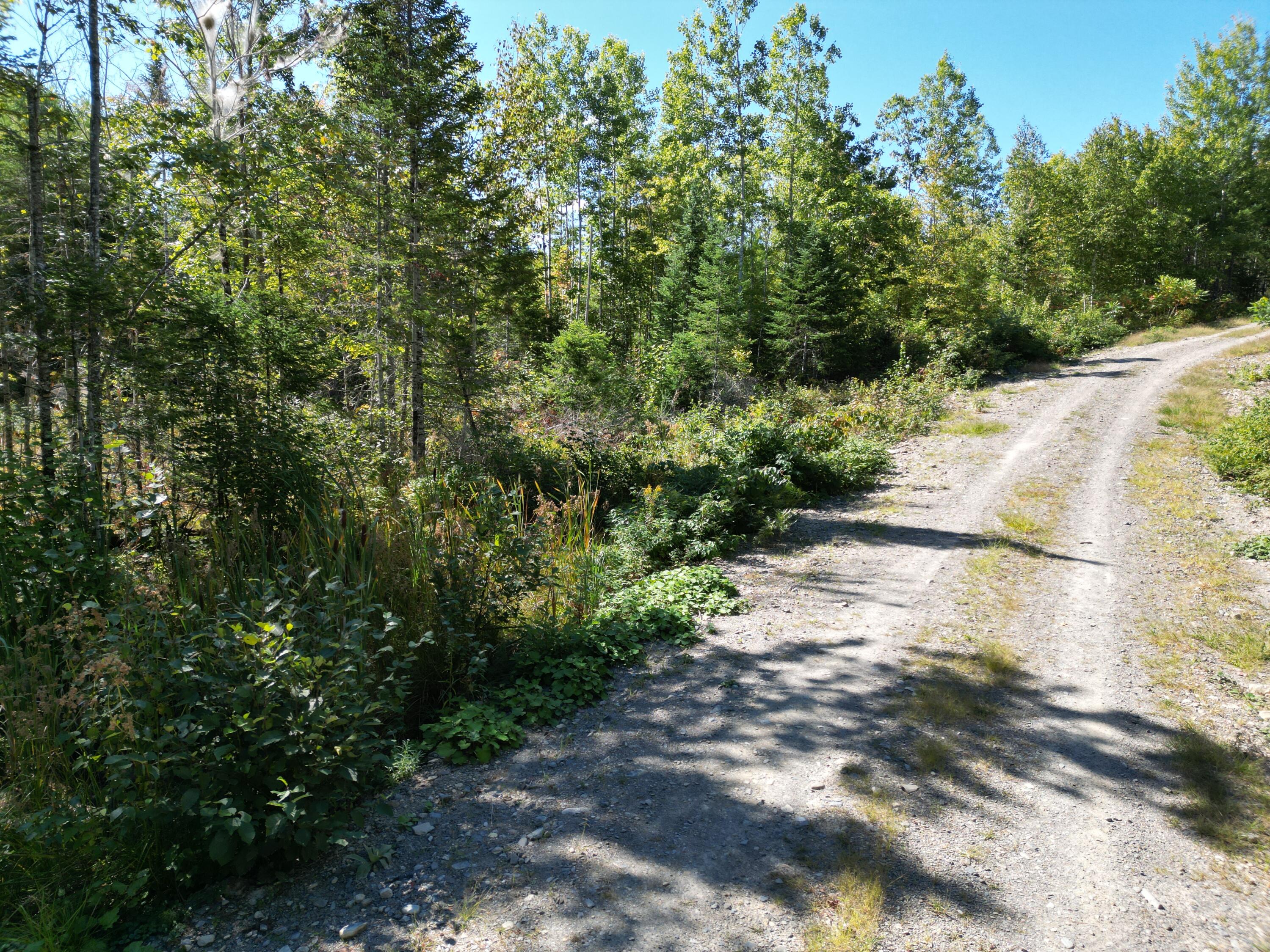 Lot 7 Riverbend Road Lowell, ME 04493 - Photo 2 of 14 DJI_0991