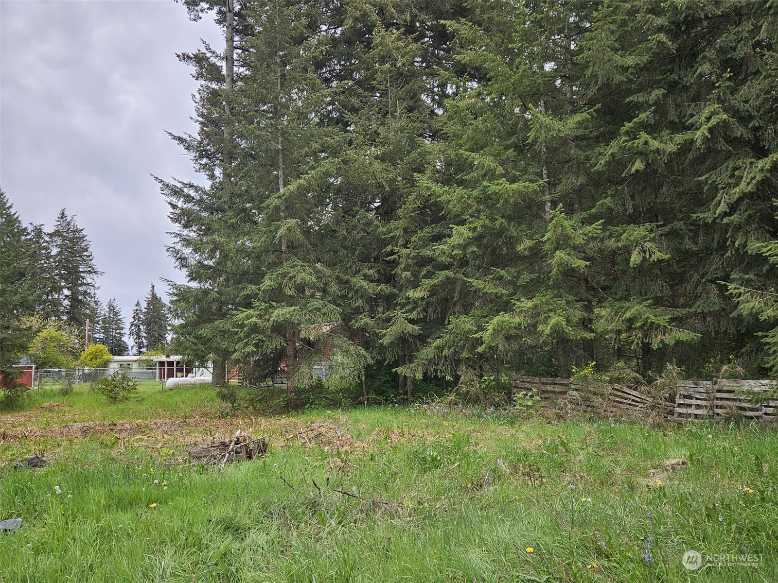 6435 188th Avenue Southwest Rochester, WA 98579 - Photo 11 of 29