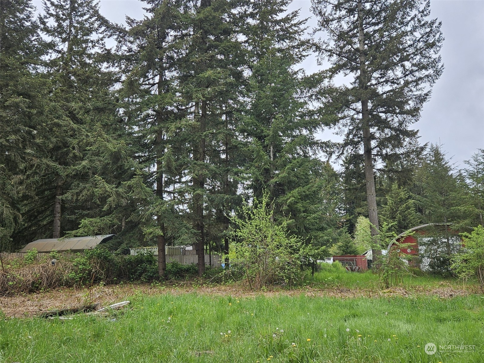 6435 188th Avenue Southwest Rochester, WA 98579 - Photo 9 of 29
