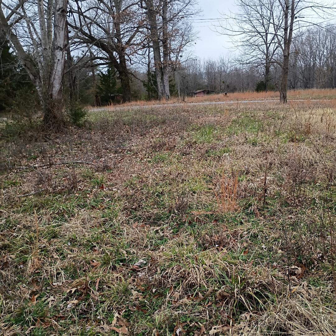 497 Old Bethel Road Monticello, KY 42633 - Photo 9 of 21 thumbnail 5