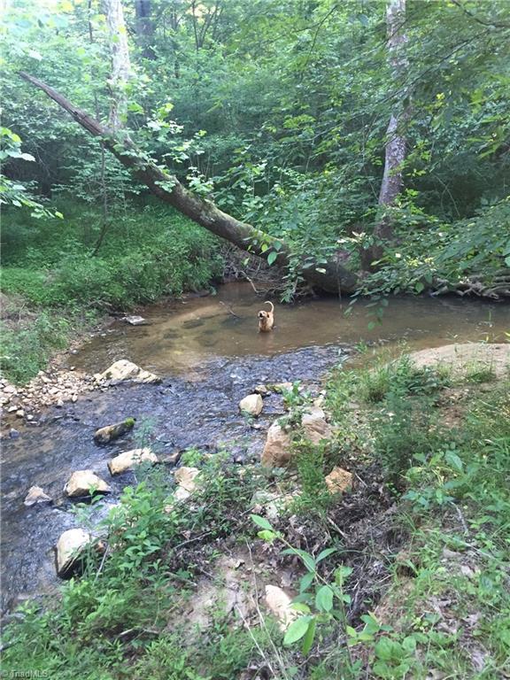 1519 Brim Road Madison, NC 27025 - Photo 4 of 26 Napoleon loves to go to the creek!