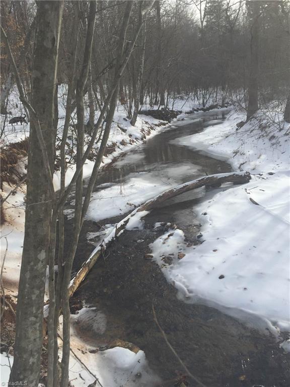 1519 Brim Road Madison, NC 27025 - Photo 6 of 26 Yes, it does snow here!!