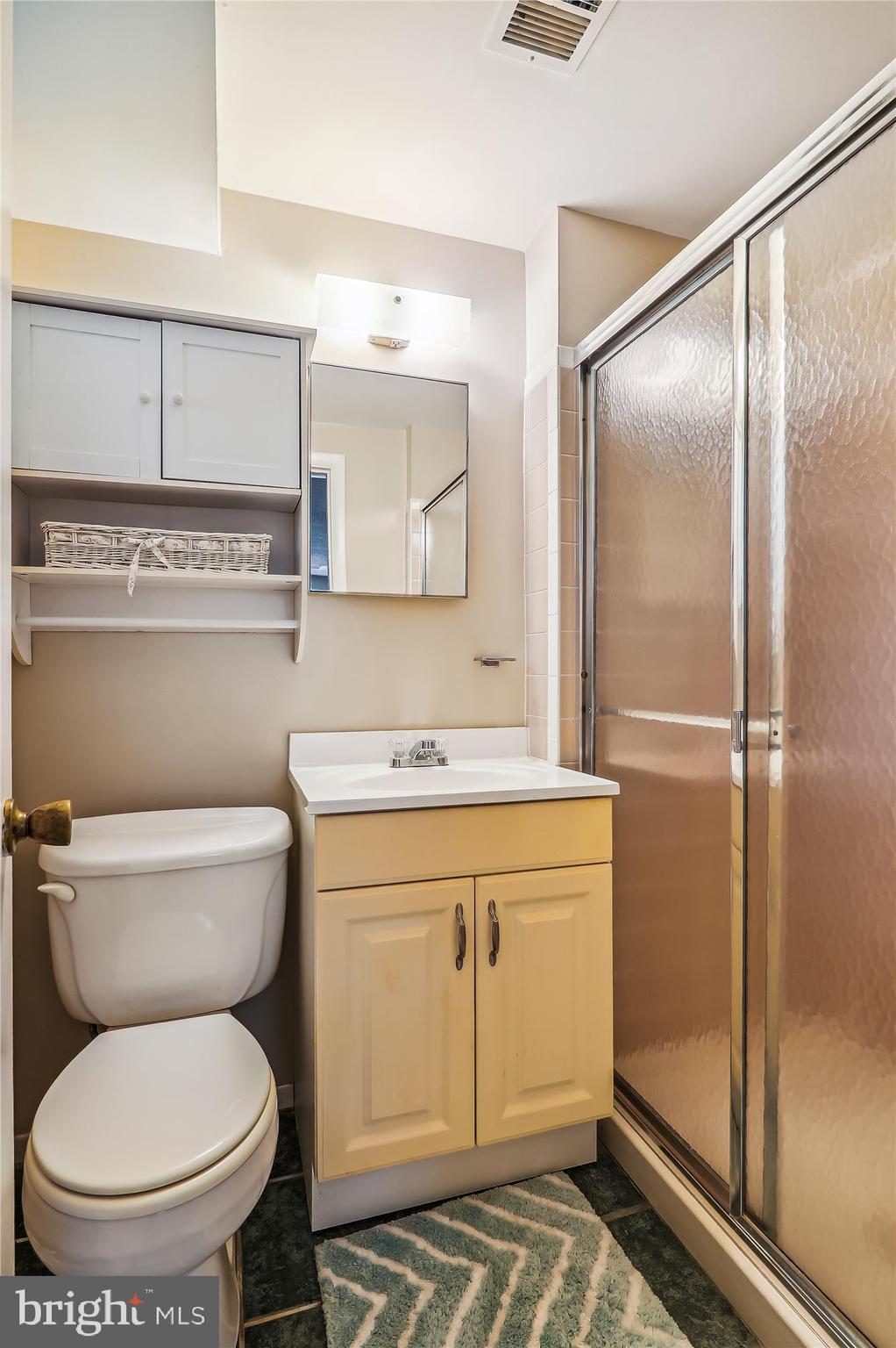 3905 Adams Drive Silver Spring, MD 20902 - Photo 45 of 52 Lowe Level Bathroom