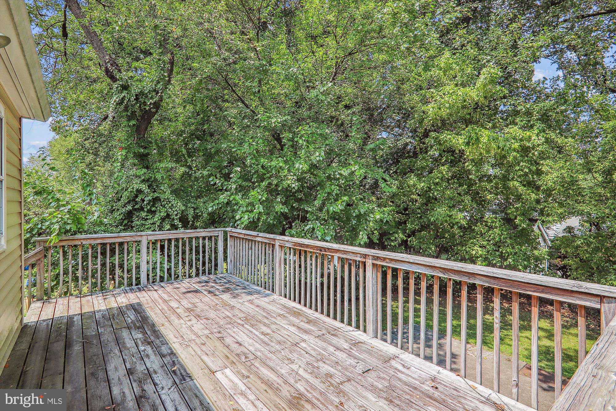 3905 Adams Drive Silver Spring, MD 20902 - Photo 8 of 52 Deck