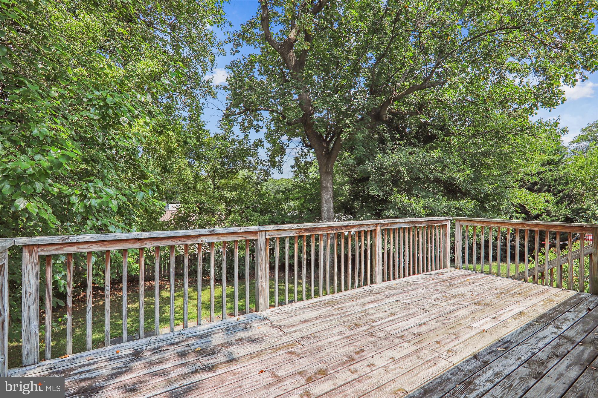 3905 Adams Drive Silver Spring, MD 20902 - Photo 10 of 52 Deck